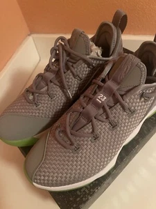 Size 9.5 - Nike LeBron 14 Low Dunkman - Picture 1 of 5