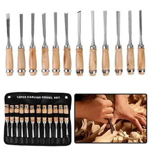 12 Pcs Wood Carving Hand Chisel Tool Set Professional DIY Woodworking Gouges Kit - Picture 1 of 8