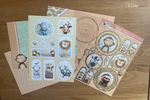 Hunkydory Animal Antics - Have a Wild Time Card Making Kit inc Papers & Acetate - Picture 1 of 6