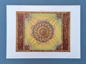 INCISIONE LITOGRAFIA MODELLI D ARTE DECORATIVA FERRUCCIO SCANDELLARI SOFFITTO - Imagen 1 de 3