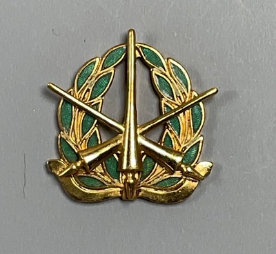 Insignia de rama de oficial de servicios especiales del ejército de Estados Unidos de la Segunda Guerra Mundial Foto 1 de 2