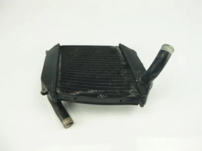 Radiador lateral izquierdo Buell 1125 CR R DAÑADO TRSH DV Foto 1 de 4