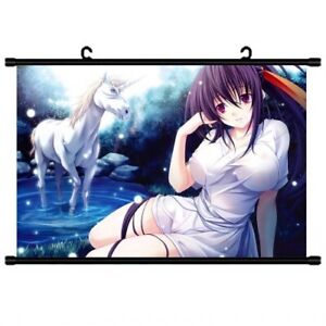 Anime Poster High School DxD characters Wall Scroll HD Painting Decor  60x40cm