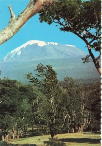 Africa Mount Kilimanjaro Vintage Postcard - Picture 1 of 2