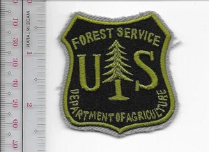 Hot Shot Wildland Fire Crew USFS Servicio Forestal de los Estados Unidos Parche sm vel ganchos - Imagen 1 de 1