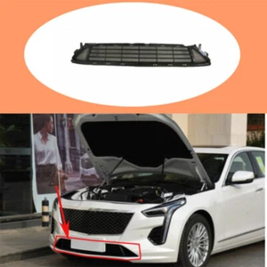 Bumper Lower Mesh Grille Grill Cover Trim For Car Cadillac CT6 19-20 Black Front - Picture 1 of 6