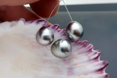 AA+ 3 STUNNING ULTRA RARE CULTURED TAHITIAN SHINING SILVER BLACK COLORFUL PEARLS - Image 1 of 4
