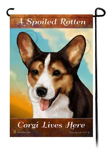 A Spoiled Rotten Open Tri Cardigan Welsh Corgi Lives Here - Imagen 1 de 1