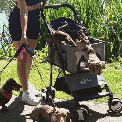 Hundebuggy Hundewagen bis 25 kg für kleine Hunde Hundekinderwagen Trolley Buggy - Bild 1 von 4