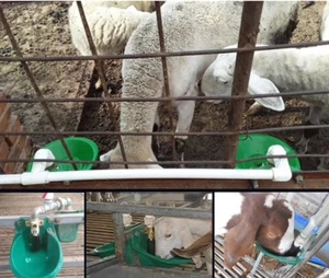 Automatic Drinker Water Dispenser For Sheep Goat Pig Piglet Cattle Livestock - Picture 1 of 2