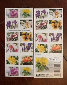 Snowy Beauty Book of 20 stamps First Class Postage 1 Booklet  MNH