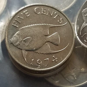 Bermuda 5 Cent 1974. Queen Elizabeth ll / Angel Fish Stempelglanz  - Bild 1 von 2