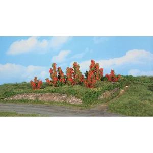 6 rosiers, 3-6 cm - HEKI 11801 - Imagen 1 de 2