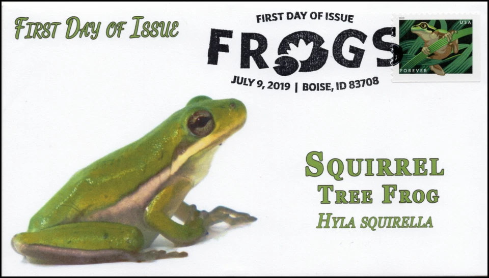19-180, 2019, Frogs, Pictorial Postmark, First Day Cover, Squirrel Tree Frog - Image 1 of 1