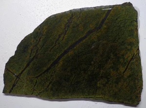 WRG- Frogskin Serpentine  Slab 208 grams Wyoming Lapidary - Picture 1 of 4