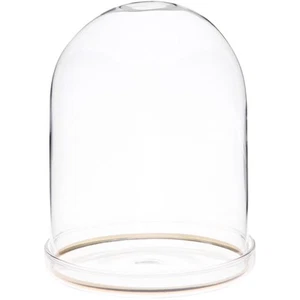 Plymor 4" x 5.5" Glass Display Dome Cloche with Gold Rim (Clear Glass Tray Base) - Picture 1 of 1