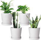 Flower Pots,6 Inch Succulent Pots With Drinage,Indoor Round Planter Pots With Sa