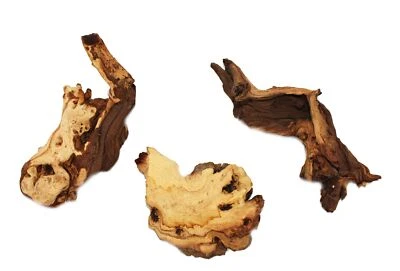 Exotenherz - Mopanie-Wurzel Gr. S 12-18 cm 3er Set