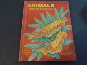 Animal Without Backbones by Robert Pfadt 1st Edition 1st Print 1967 HC ID:93064 - Picture 1 of 4