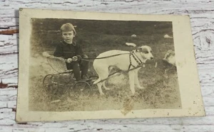 Little Girl in Wicker Cart Pulled By Dog in Harness VTG Photo Postcard 3” x 5” - Picture 1 of 4