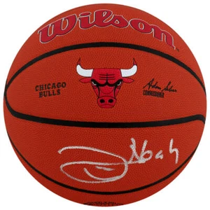 Joakim Noah Signed Wilson Chicago Bulls Logo NBA Basketball - (SCHWARTZ COA) - Picture 1 of 1