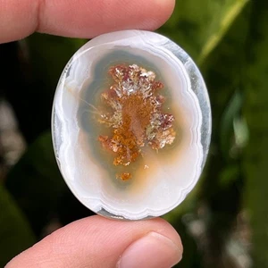 Ágata musgo ternato escénico 41,80 quilates orbicular 32x27x6 mm ágata musgo de alta calidad - Imagen 1 de 4