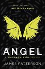 Angel: A Maximum Ride Novel: (Maxim..., Patterson, Jame