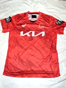 NRL Brisbane Broncos Adult Mens Training Pink Jersey, sizes L only - Bild 1 von 2