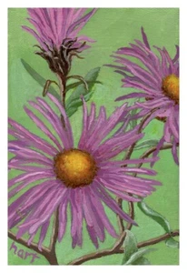 Impresión de flores de aster púrpura y verde-arte de pared floral realista-obra de arte original - Imagen 1 de 4
