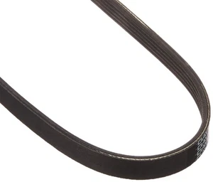 ✅ Dayco E050271 Serpentine Belt Air Conditioning For 12-14 Ford Focus - Picture 1 of 1