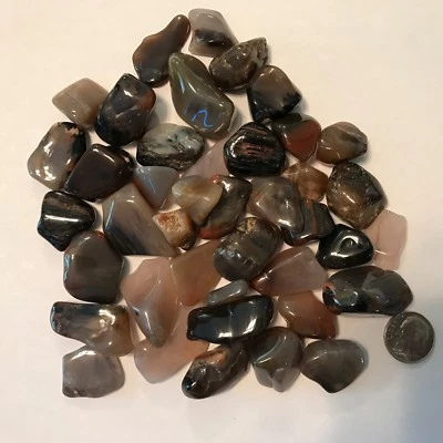 MADERA PETRIFICADA *Caída y altamente pulida* Lotes de 1/2 libra ~ (40) piedras preciosas Foto 1 de 4