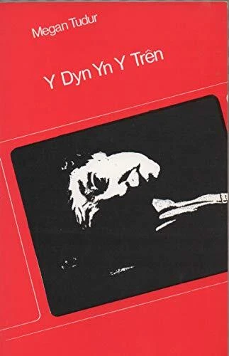 Y Dyn Yn Y Tr?n, Tudur, Megan, Good Condition, ISBN 0850881358 - image 1 of 1