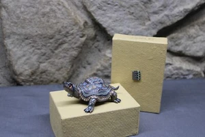 2004 Jon Stuart Anderson - Turtle - Polymer Clay FIMO Creation (C9) - Bild 1 von 14