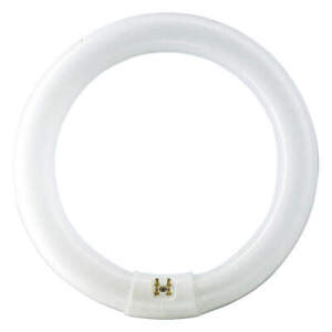 PHILIPS FC16T9/COOL WHITE PLUS Fluorescent,39.5 W,T9,4-Pin (G10q) 492Y35