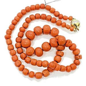 Natürliche orange Koralle 10,75 mm x 5 mm Strang 18k Gelbgold Verschluss Halskette 18" - Bild 1 von 17