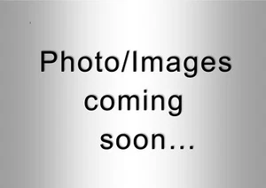 *** NEU mit Etikett Zadig und Voltaire Seidenkleid *** - Bild 1 von 1