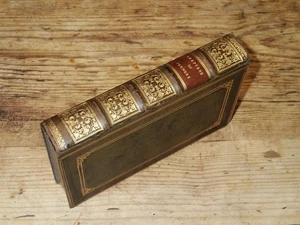 (U) 1844 Chapters on Flowers by Charlotte Elizabeth , sixth edition, illustrated - Picture 1 of 12