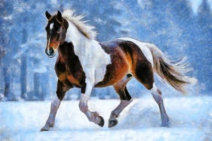 Winter Prince II por Vanessa Knight impresión de giclee contemporáneo envío gratis - Imagen 1 de 3
