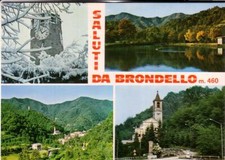 CARTOLINA BRONDELLO NON   VIAGGIATA VEDUTE SALUTI REGALO
