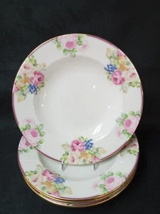 ❤ Mikasa ROSEMEAD Rim Soup Bowl 8 3/4 Inches - Picture 1 of 6