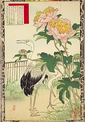 Chinesische Pfingstrosenkrane Vintage Kono Bairei Japanisches Poster Botanischer Druck Kunst • 8.83€