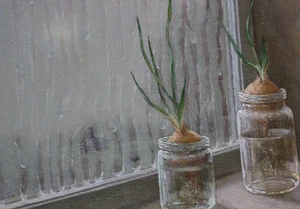 Zwiebel Fenster Regen Original Ölgemälde Stillleben Leinwandbild - Bild 1 von 4