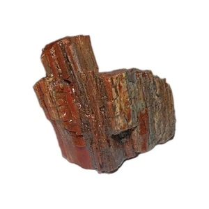 Arizona petrified wood Rough Resin Coated - Picture 1 of 8