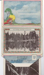 Folleto manístico de Michigan de la década de 1920 con fotos impresas - Imagen 1 de 2