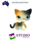 Hasbro LPS Littlest Pet Shop Shorthair Cat #106(White, Blue Eyes, Orange/Black P