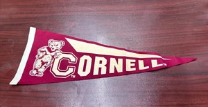 CORNELL UNIVERSITY COLLEGIATE GAGLIARDETTO VINTAGE RETRÒ LANA - Foto 1 di 3