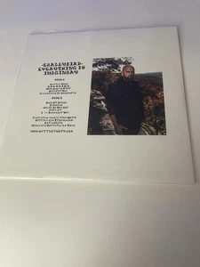 Early Bird”Everything Is Imaginary Album “clear Vinyl “ Excellent Condition - Picture 1 of 4