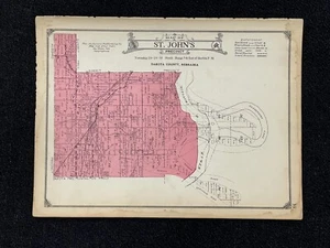 Nebraska Dakota County Map St. John's Township 1925 W5#35 - Picture 1 of 1
