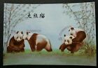 Austria Panda 2003 Bamboo Flora Fauna (imperf special color print ms) MNH *rare
