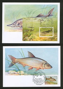 BELARUS-5 MC - FAUNA-FISH - 1997. - Picture 1 of 3